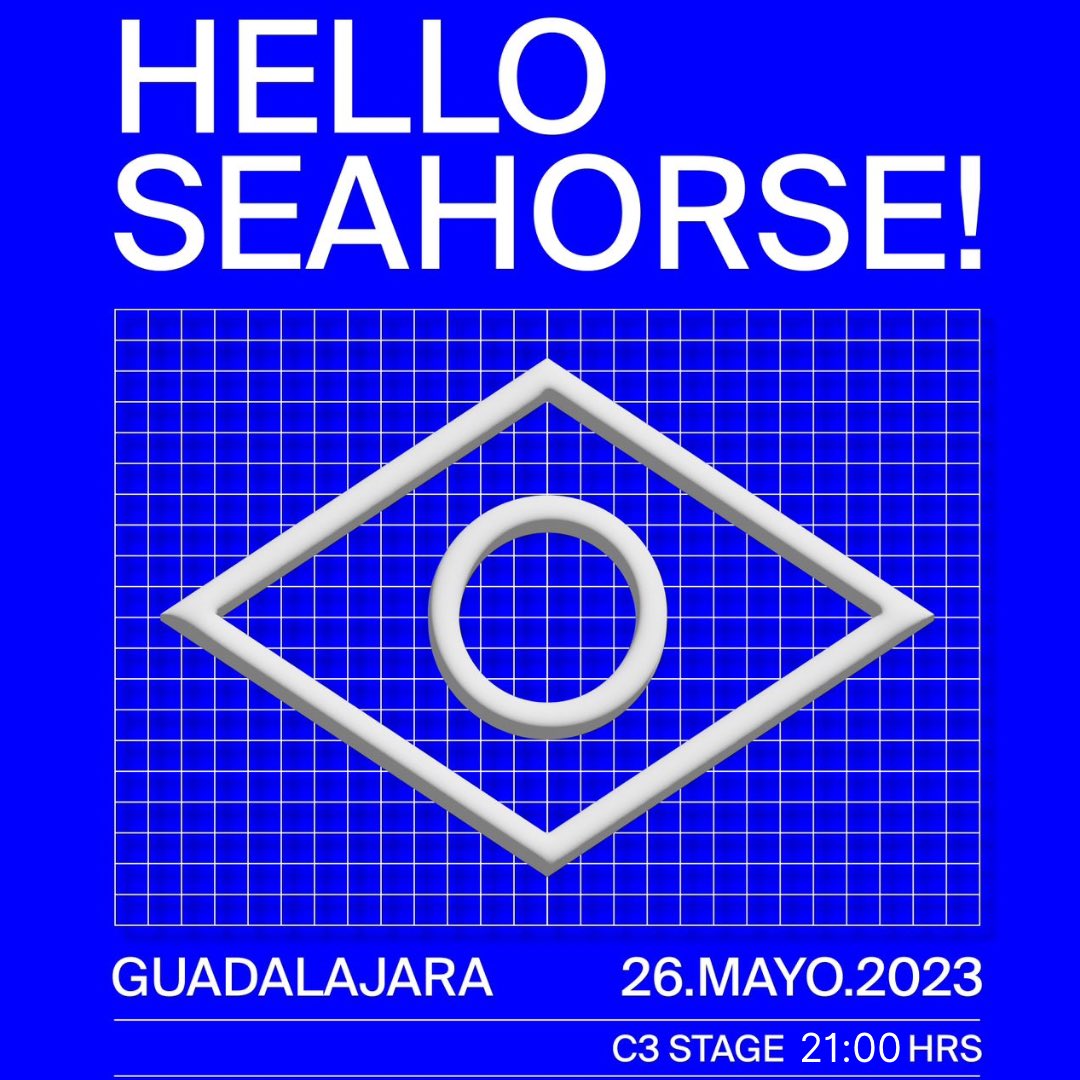 Hello Seahorse